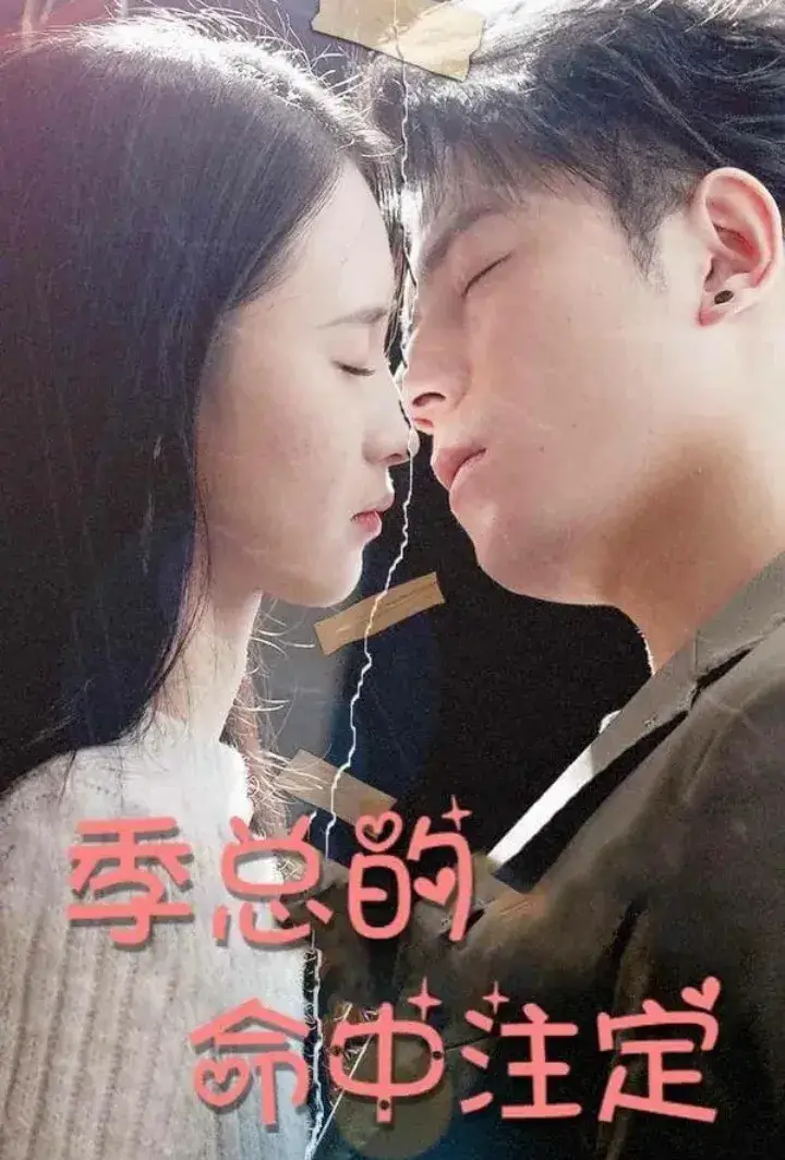 Chinese Drama The CEO's Fated Romance with subtitles - poster